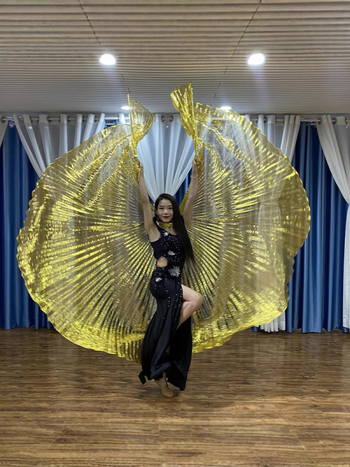 Крила за танц на корема – ориенталски танц, женски, полиестер, марка Excellent Nuclear, пролет 2022