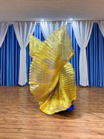 Крила за танц на корема – ориенталски танц, женски, полиестер, марка Excellent Nuclear, пролет 2022