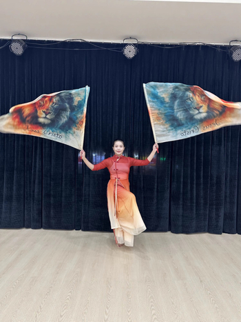 Scenski kostim za bellydance sa zastavom obožavanja, chifon tkanina, poliester 30–50%, za žene