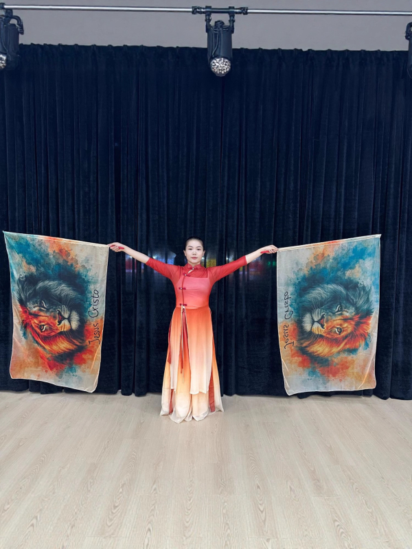 Scenski kostim za bellydance sa zastavom obožavanja, chifon tkanina, poliester 30–50%, za žene