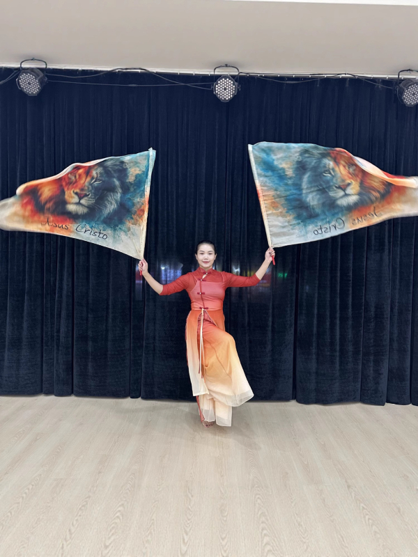 Scenski kostim za bellydance sa zastavom obožavanja, chifon tkanina, poliester 30–50%, za žene
