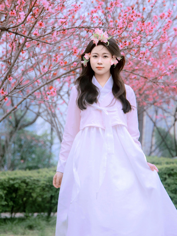 Rochie feminin Hanbok inspirată pentru ședințe foto, stil curte, patru anotimpuri (Material: plasă; Compoziție principală: poliester 50–70%; Sezon: primăvara 2025; Vârstă: 18–24)