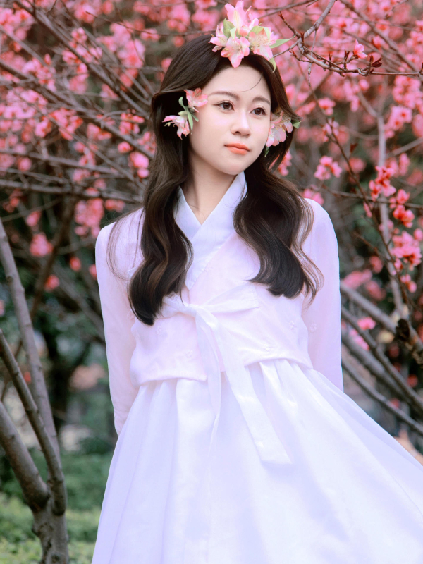 Rochie feminin Hanbok inspirată pentru ședințe foto, stil curte, patru anotimpuri (Material: plasă; Compoziție principală: poliester 50–70%; Sezon: primăvara 2025; Vârstă: 18–24)