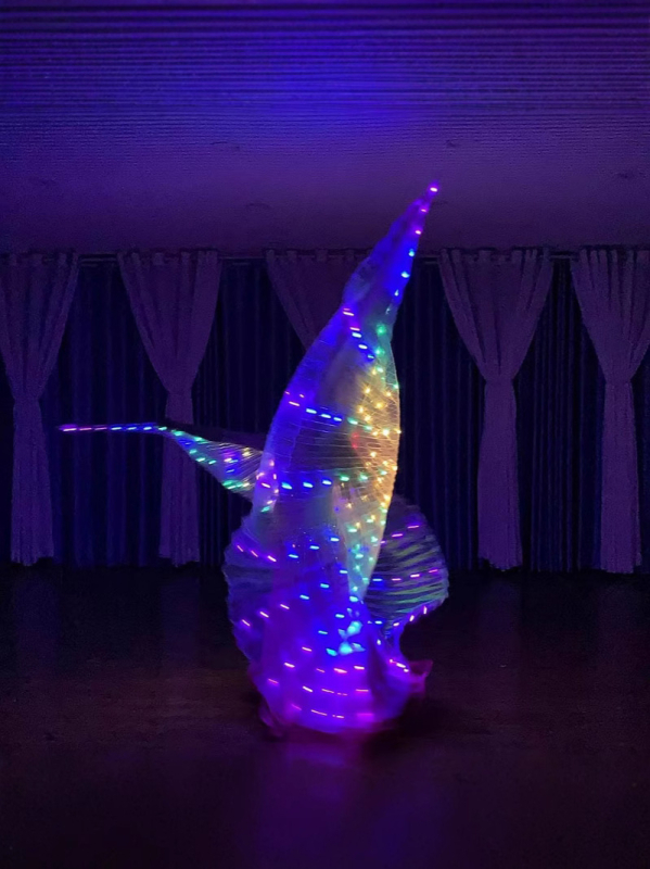 LED svjetleća krila; kostim za ples stomaka za žene; poliester tkanina; jesen 2022