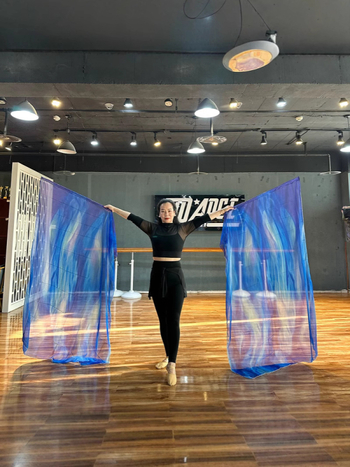 Zastava za trbušni ples – rekvizit od poliester šifon, dekoracija za leđa