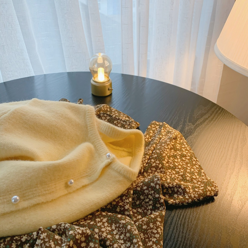 Pleteni kardigan od Mink velvet, okrugli ovratnik, dugi rukavi, japansko-korejski ležerni stil