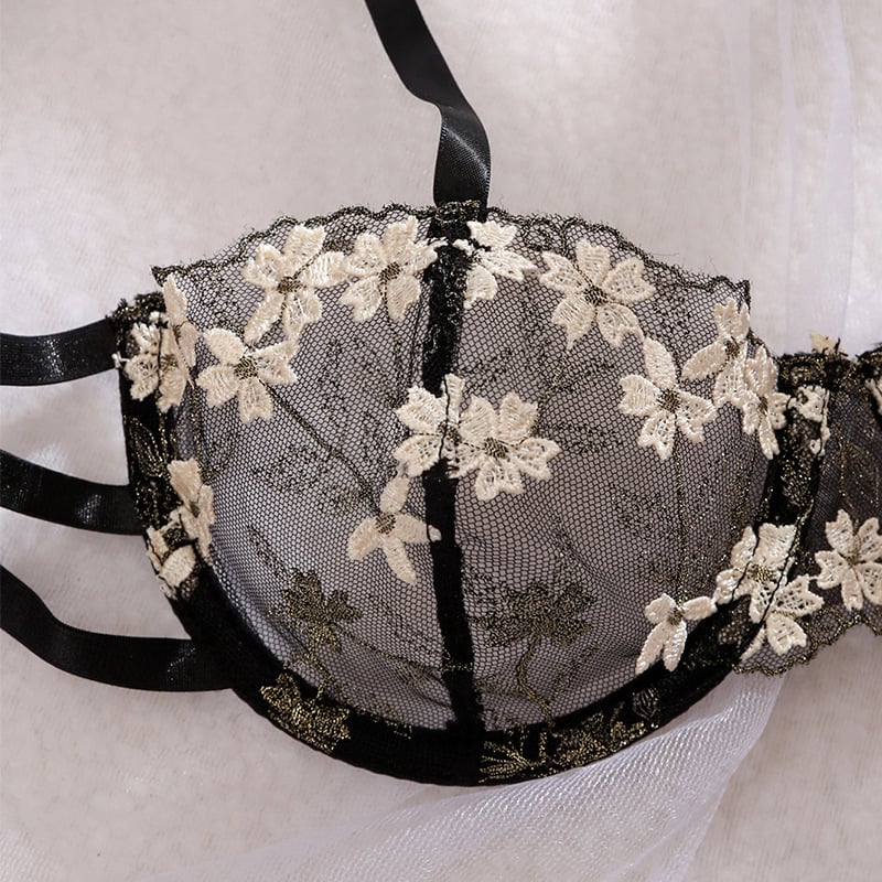 Set donjeg rublja s prozirnom čipkom, push-up trostruke naramenice, poliester