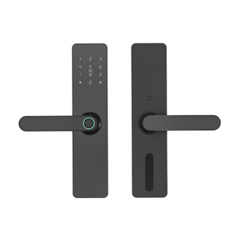 Bluetooth brava za vrata s otiskom prsta, bez bušenja za karticu, kompatibilna s TTLOCK, aluminijska legura, model DXL001