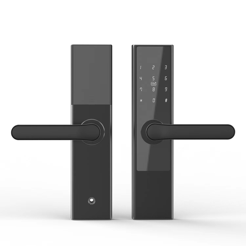 Bluetooth brava za vrata s otiskom prsta, bez bušenja za karticu, kompatibilna s TTLOCK, aluminijska legura, model DXL001