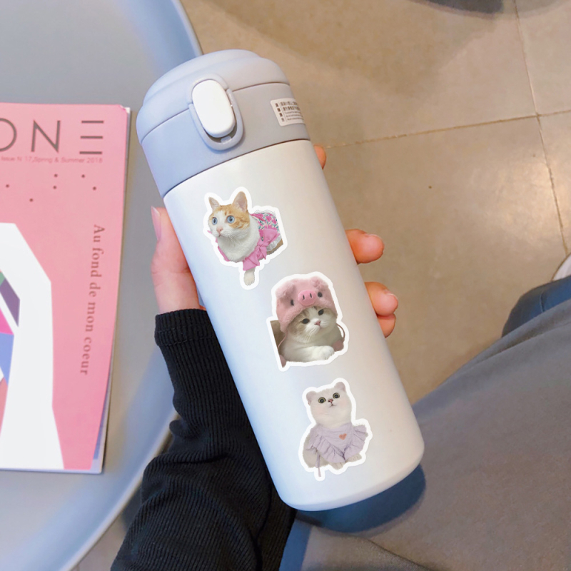 Sada samolepiek s mačiatkami – 100 ks, samolepiace, roztomilý štýl, tlačené spracovanie