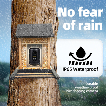 Τροφοδότης για πουλιά με χαμηλής κατανάλωσης WiFi κάμερα, ηλιακή φόρτιση, 1080P, φακός 2.4mm, IR εμβέλεια 3 μ