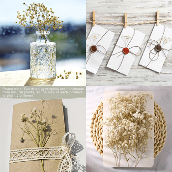 Suho cvijeće Gypsophila, DIY cvjetni materijali, sorta 1327355784, idealno za darove na vjenčanjima, rođendanima, putnim uspomenama i maturama