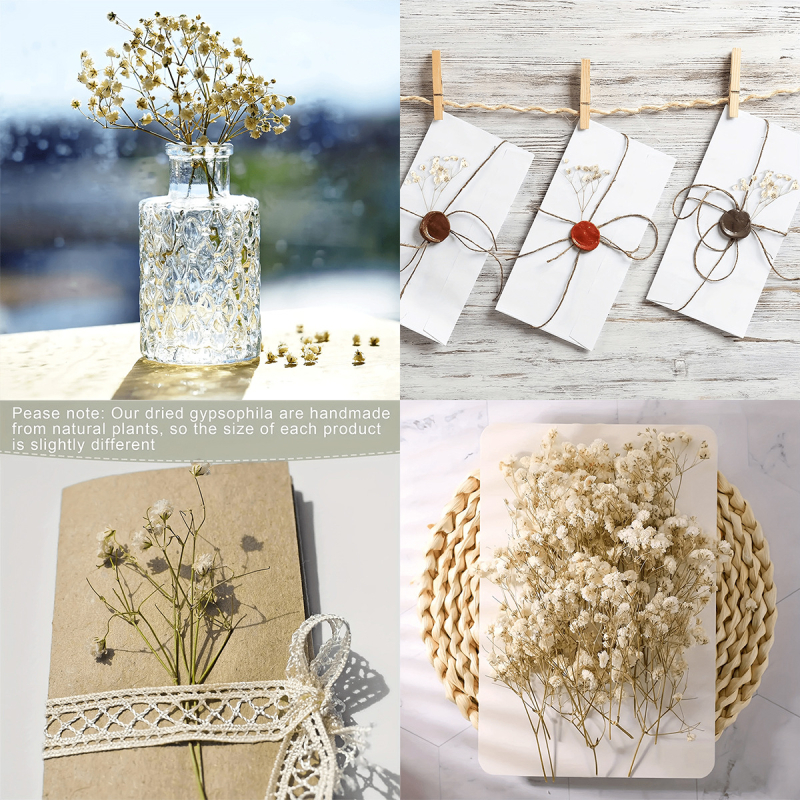 Suho cvijeće Gypsophila, DIY cvjetni materijali, sorta 1327355784, idealno za darove na vjenčanjima, rođendanima, putnim uspomenama i maturama