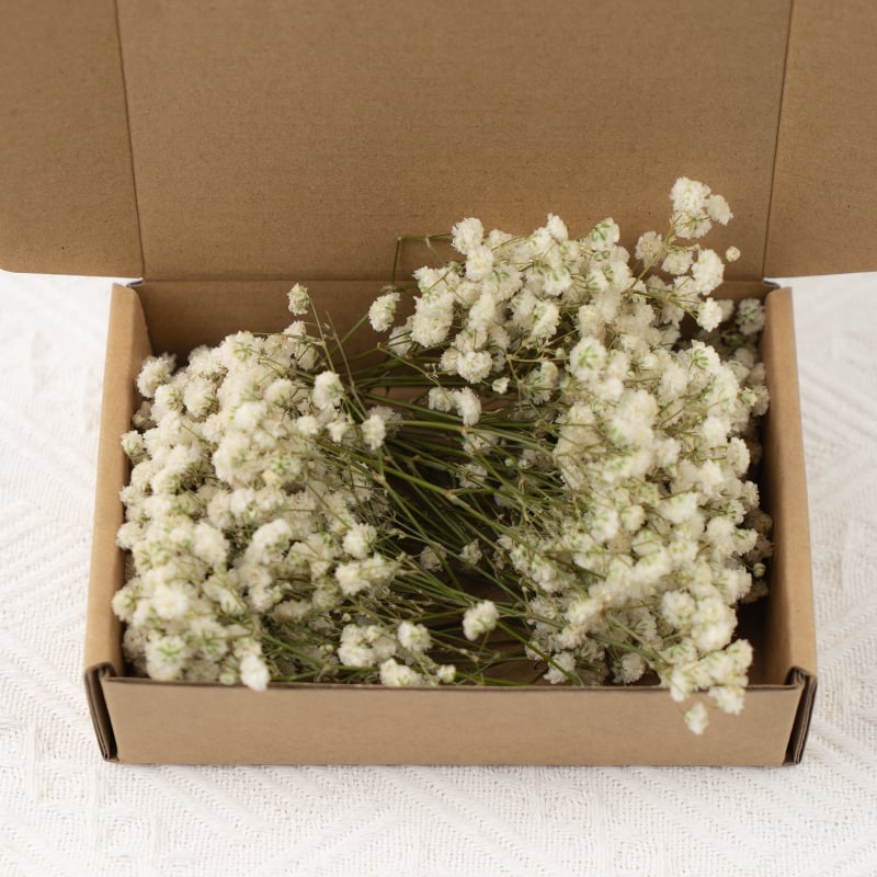 Suho cvijeće Gypsophila, DIY cvjetni materijali, sorta 1327355784, idealno za darove na vjenčanjima, rođendanima, putnim uspomenama i maturama
