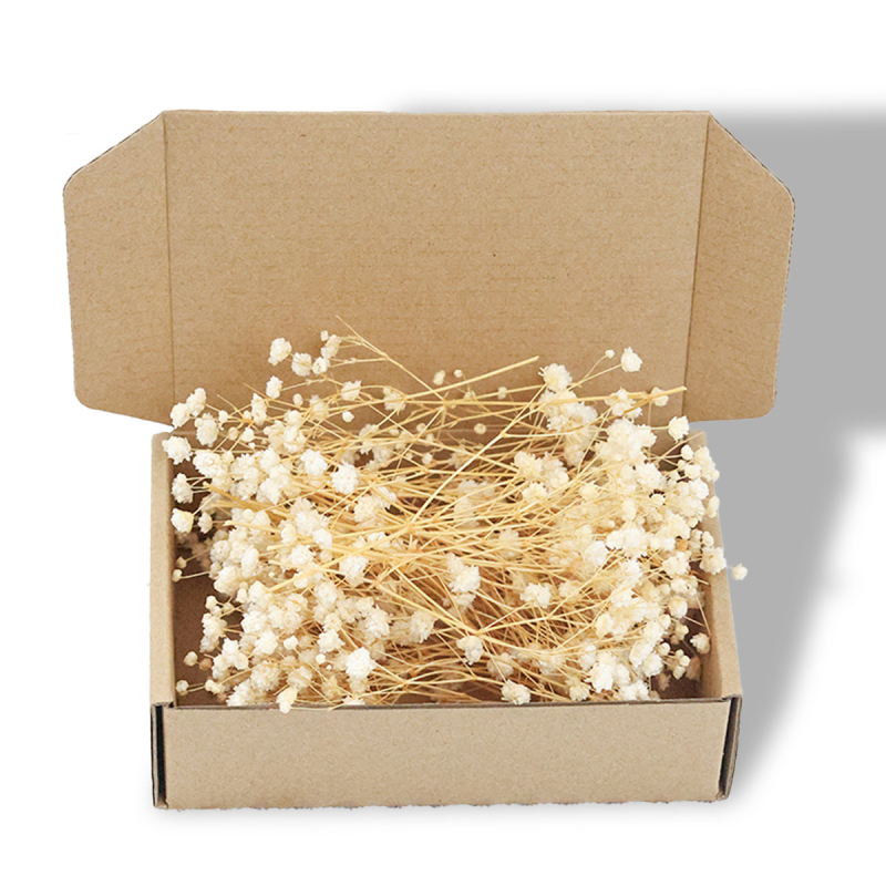 Suho cvijeće Gypsophila, DIY cvjetni materijali, sorta 1327355784, idealno za darove na vjenčanjima, rođendanima, putnim uspomenama i maturama