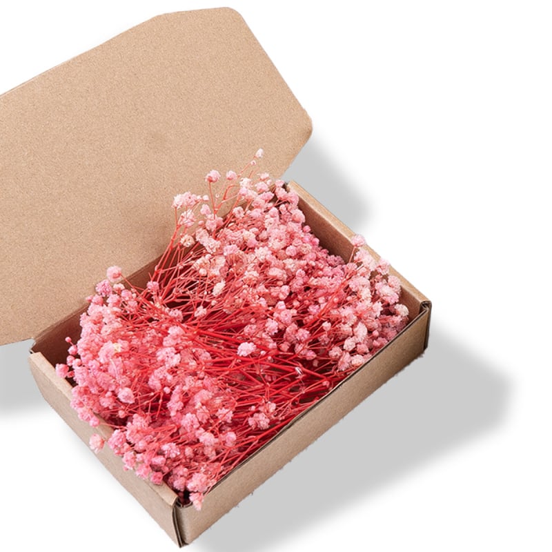 Suho cvijeće Gypsophila, DIY cvjetni materijali, sorta 1327355784, idealno za darove na vjenčanjima, rođendanima, putnim uspomenama i maturama