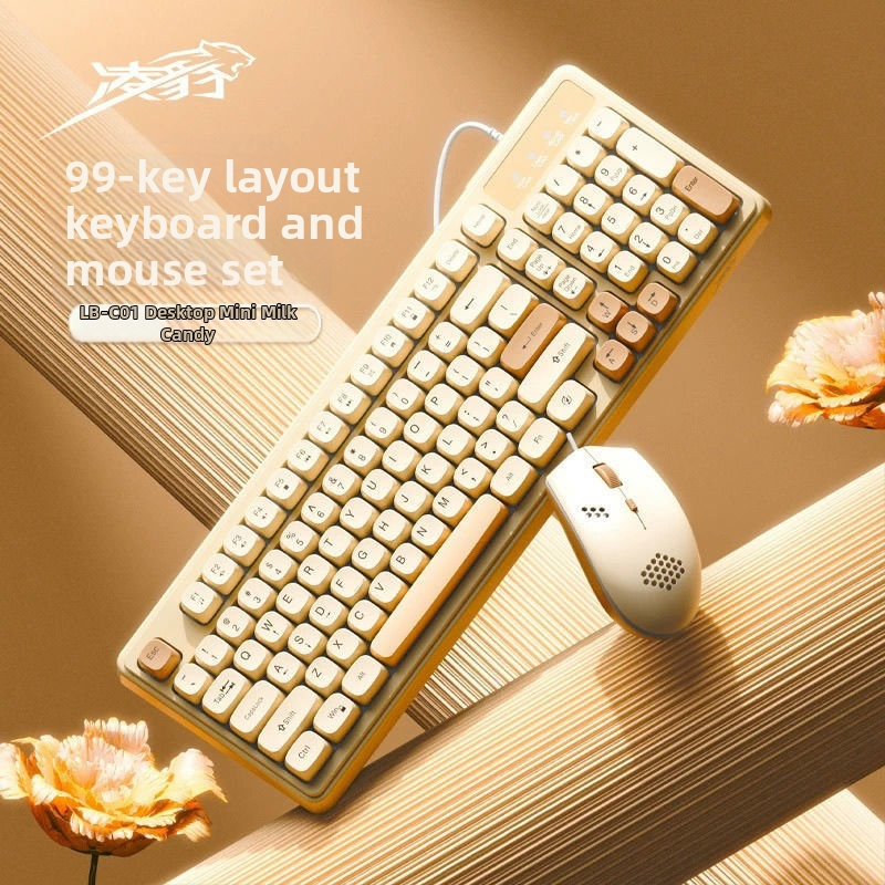 Жичен комплект клавиатура и мишка за момичета — USB клавиатура и USB мишка за офис и игри