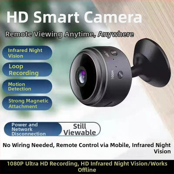 Namų gyvūnėlių priežiūros vaizdo kamera su naktiniu matymu — CMOS, 1080P, nuotolinio įjungimo/išjungimo galimybė, PTZ ir žmogaus figūros atpažinimas