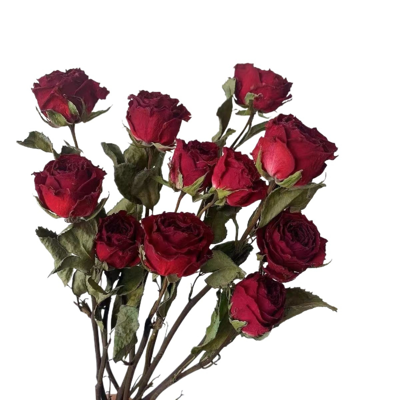 Buket suhih ruža za stolnu dekoraciju, bojano pravo cvijeće, namijenjeno vrećici mirisa