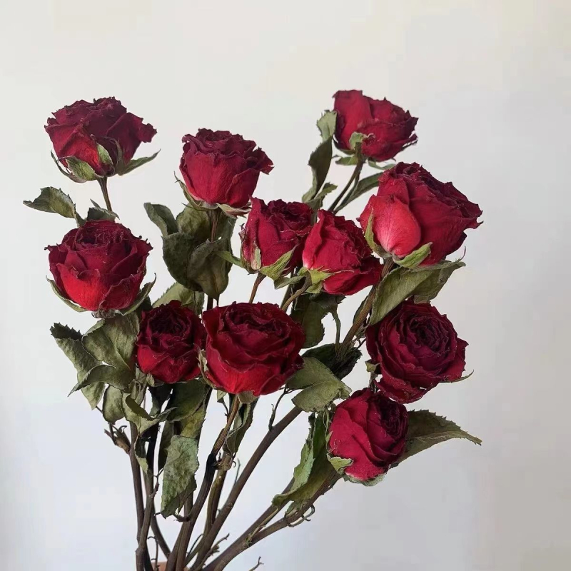 Buket suhih ruža za stolnu dekoraciju, bojano pravo cvijeće, namijenjeno vrećici mirisa