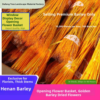 Žāvētu ziedu pušķis ar miežiem — Zīmols: Big Banyan Tree Landscape Materials Factory; Materiāls: Žāvēti un saglabāti ziedi; Veids: Mieži