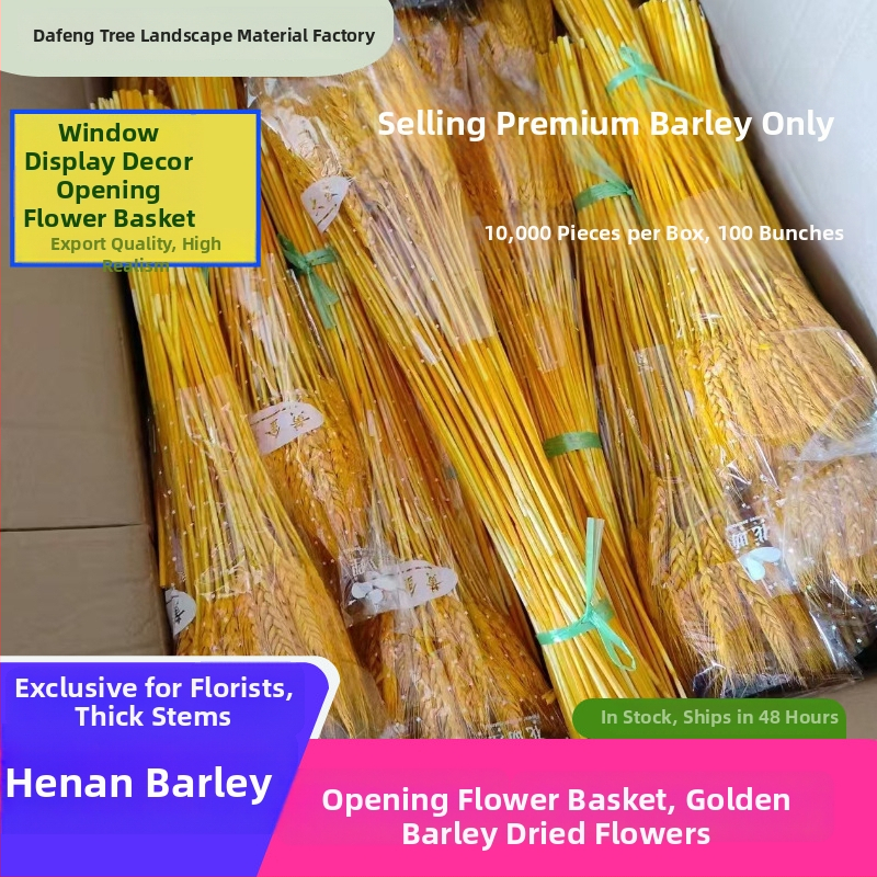 Žāvētu ziedu pušķis ar miežiem — Zīmols: Big Banyan Tree Landscape Materials Factory; Materiāls: Žāvēti un saglabāti ziedi; Veids: Mieži