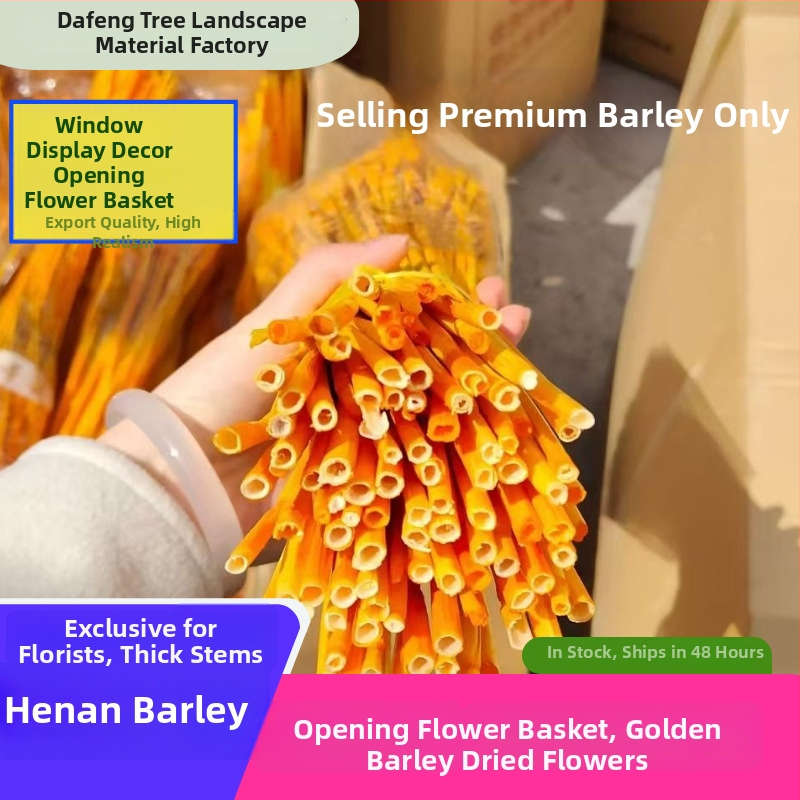 Žāvētu ziedu pušķis ar miežiem — Zīmols: Big Banyan Tree Landscape Materials Factory; Materiāls: Žāvēti un saglabāti ziedi; Veids: Mieži