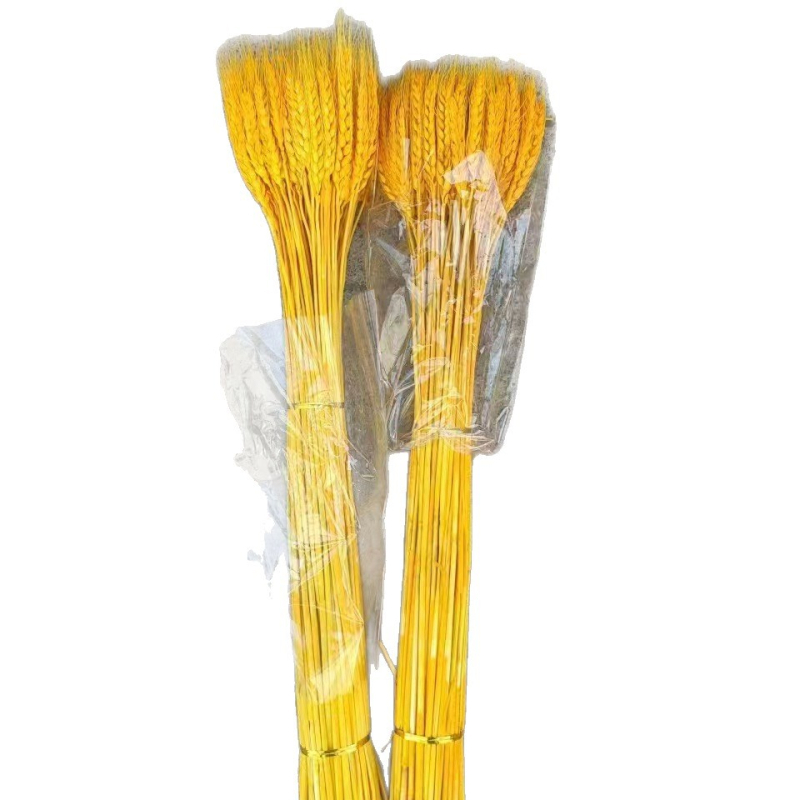 Sušena cvjetna kompozicija s ječmom — Marka: Big Banyan Tree Landscape Materials Factory; Materijal: Sušeno i očuvano cvijeće; Vrsta: Ječam