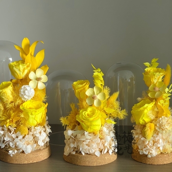 DIY set suhih cvjetova pod staklenom kupolom – Narcissus sorta, paket materijala za team building