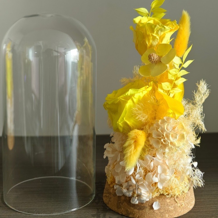 DIY set suhih cvjetova pod staklenom kupolom – Narcissus sorta, paket materijala za team building