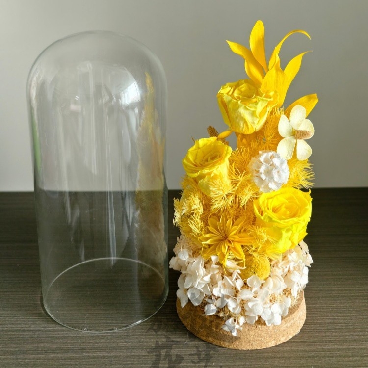DIY set suhih cvjetova pod staklenom kupolom – Narcissus sorta, paket materijala za team building