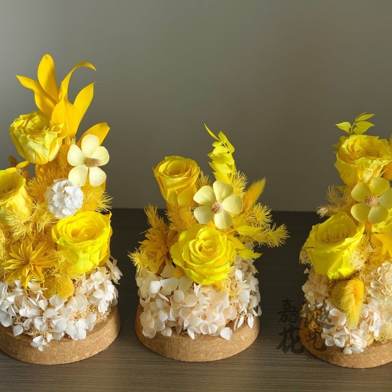 DIY set suhih cvjetova pod staklenom kupolom – Narcissus sorta, paket materijala za team building