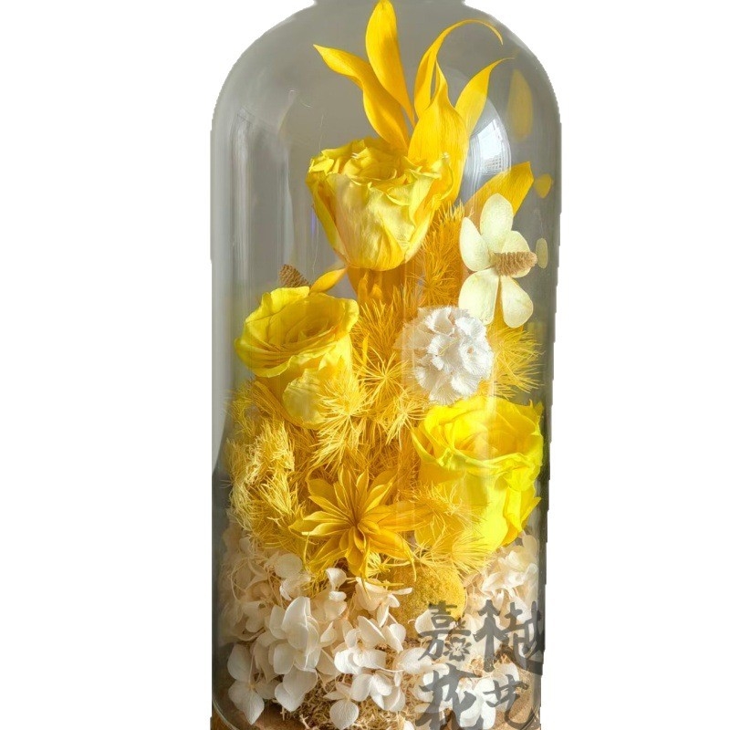 DIY set suhih cvjetova pod staklenom kupolom – Narcissus sorta, paket materijala za team building