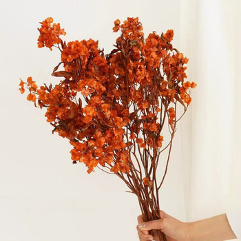 Grančice | Sušene cvjetnice s venama na listovima, obojane | Opp pakiranje | Privatna marka autorizirana