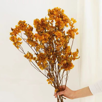 Grančice | Sušene cvjetnice s venama na listovima, obojane | Opp pakiranje | Privatna marka autorizirana