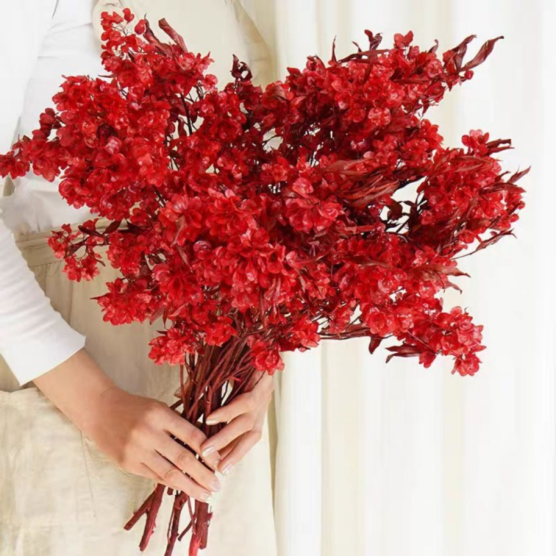 Grančice | Sušene cvjetnice s venama na listovima, obojane | Opp pakiranje | Privatna marka autorizirana