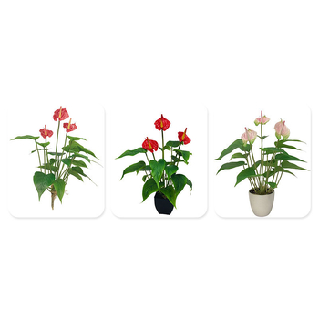 Huamao Umjetni Anthurij Bonsai Cvijet, PVC, Injekcijsko Oblikovanje, Doma Dekoracija