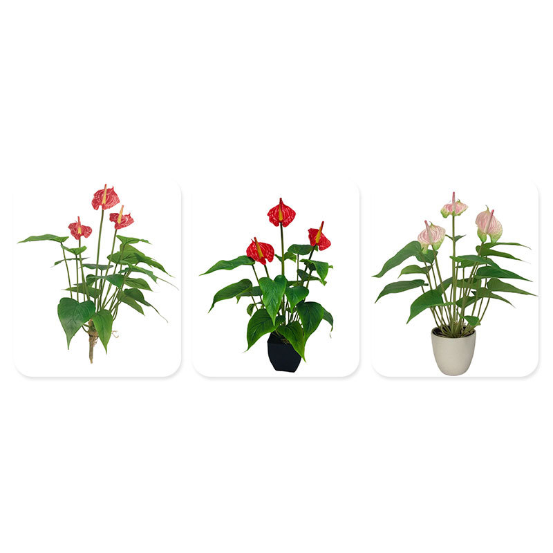 Huamao Umjetni Anthurij Bonsai Cvijet, PVC, Injekcijsko Oblikovanje, Doma Dekoracija