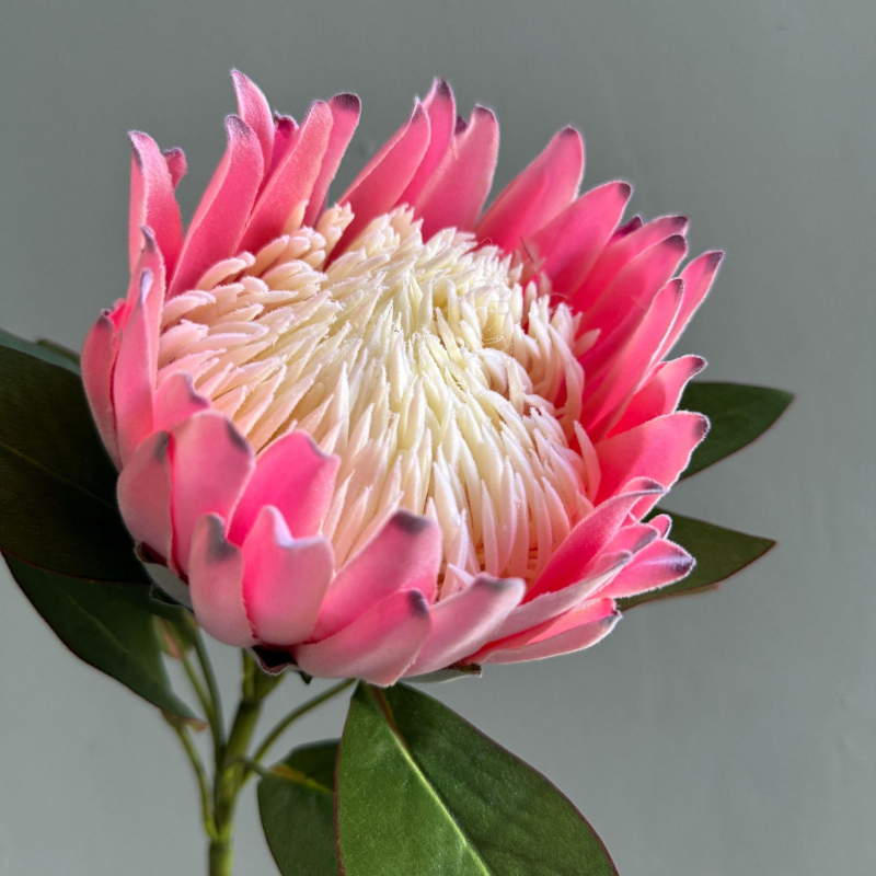 Τεχνητά λουλούδια για οικιακή διακόσμηση και φωτογραφικές σκηνές — μεταξωτά άνθη, τεχνική φλοκ, μάρκα Yunxi, κατάλληλα για γάμους, εξωτερικούς χώρους, φωτογραφικά props, διακόσμηση σπιτιού (Υλικό: μεταξωτά άνθη; Τεχνική: φλοκ; Μάρκα: Yunxi; Χρήσεις: γάμοι,