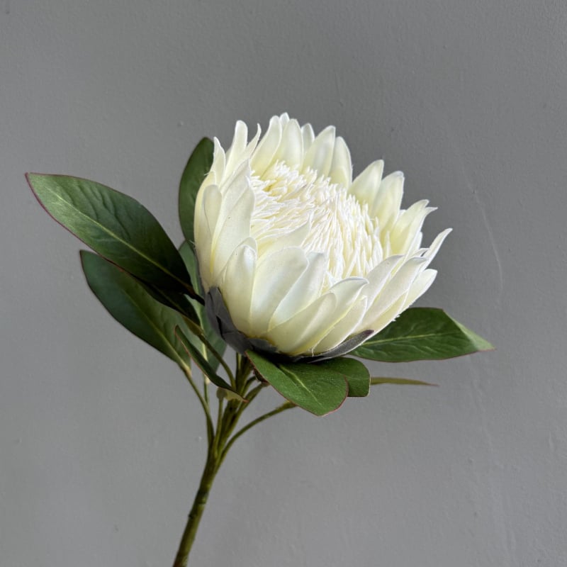 Τεχνητά λουλούδια για οικιακή διακόσμηση και φωτογραφικές σκηνές — μεταξωτά άνθη, τεχνική φλοκ, μάρκα Yunxi, κατάλληλα για γάμους, εξωτερικούς χώρους, φωτογραφικά props, διακόσμηση σπιτιού (Υλικό: μεταξωτά άνθη; Τεχνική: φλοκ; Μάρκα: Yunxi; Χρήσεις: γάμοι,