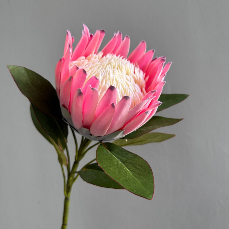 Τεχνητά λουλούδια για οικιακή διακόσμηση και φωτογραφικές σκηνές — μεταξωτά άνθη, τεχνική φλοκ, μάρκα Yunxi, κατάλληλα για γάμους, εξωτερικούς χώρους, φωτογραφικά props, διακόσμηση σπιτιού (Υλικό: μεταξωτά άνθη; Τεχνική: φλοκ; Μάρκα: Yunxi; Χρήσεις: γάμοι,