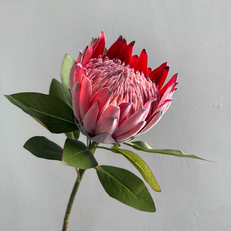 Τεχνητά λουλούδια για οικιακή διακόσμηση και φωτογραφικές σκηνές — μεταξωτά άνθη, τεχνική φλοκ, μάρκα Yunxi, κατάλληλα για γάμους, εξωτερικούς χώρους, φωτογραφικά props, διακόσμηση σπιτιού (Υλικό: μεταξωτά άνθη; Τεχνική: φλοκ; Μάρκα: Yunxi; Χρήσεις: γάμοι,