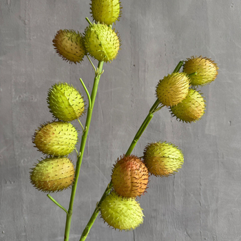 Τεχνητά φρούτα διακόσμησης – υφή βαμβακό-ζαχαρωτού, χειροποίητα, υλικό: μαλακό κόλλα (6 τεμάχια; ποικιλία βαμβακό-ζαχαρωτό; κατάλληλα για γάμους, εξωτερικούς χώρους, φωτογραφικά αξεσουάρ, οικιακή διακόσμηση)