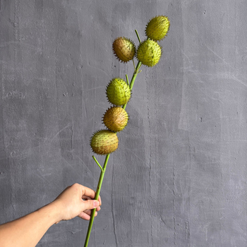 Τεχνητά φρούτα διακόσμησης – υφή βαμβακό-ζαχαρωτού, χειροποίητα, υλικό: μαλακό κόλλα (6 τεμάχια; ποικιλία βαμβακό-ζαχαρωτό; κατάλληλα για γάμους, εξωτερικούς χώρους, φωτογραφικά αξεσουάρ, οικιακή διακόσμηση)