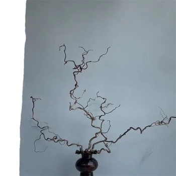 Grane Dragon jujube – prirodno sušene grane za kućnu dekoraciju i fotografije, Dianjie