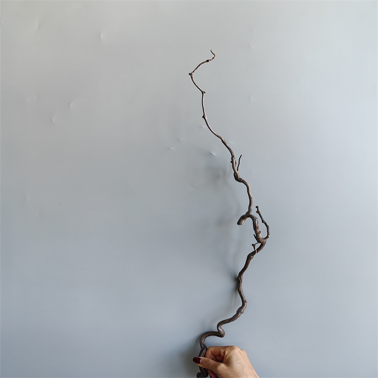 Grane Dragon jujube – prirodno sušene grane za kućnu dekoraciju i fotografije, Dianjie