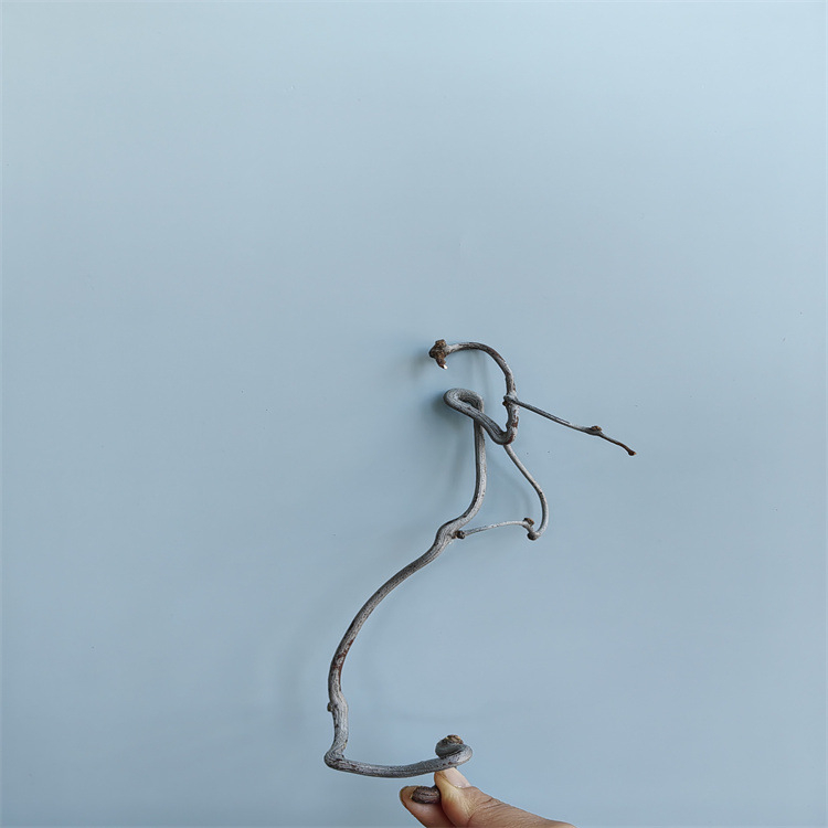 Grane Dragon jujube – prirodno sušene grane za kućnu dekoraciju i fotografije, Dianjie