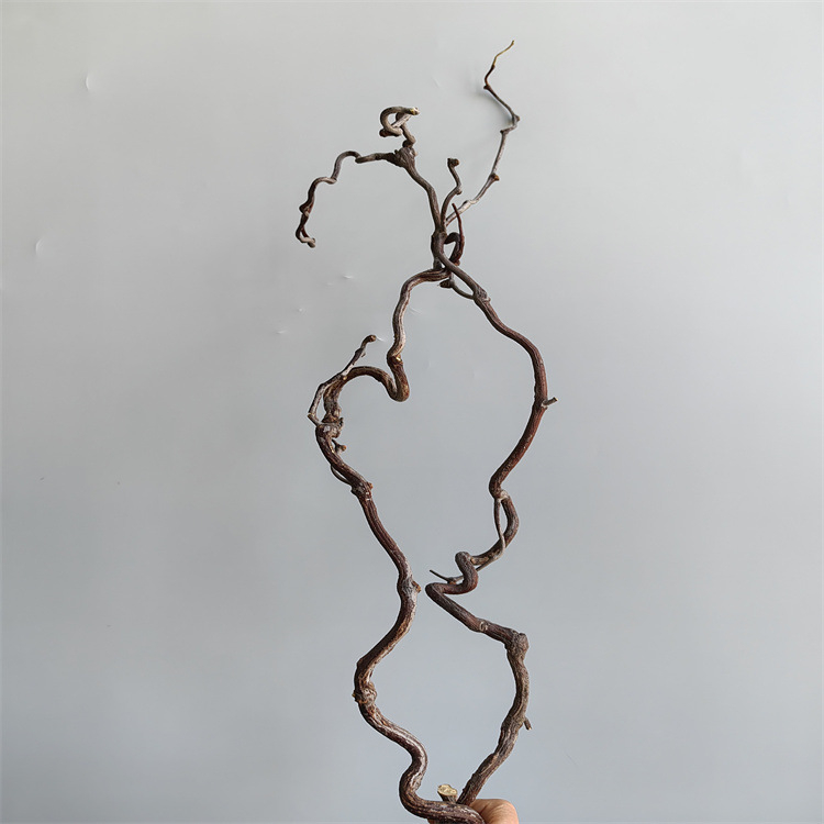 Grane Dragon jujube – prirodno sušene grane za kućnu dekoraciju i fotografije, Dianjie