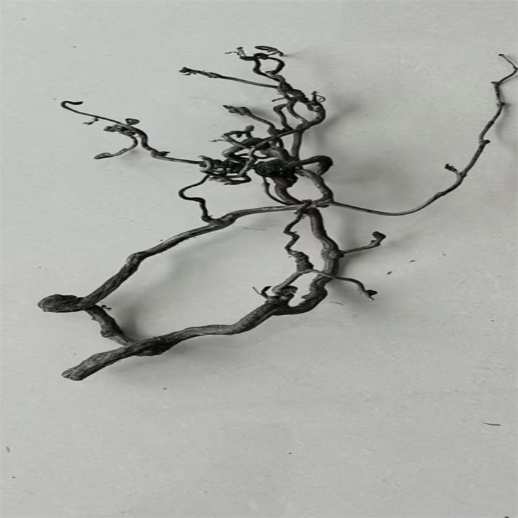 Grane Dragon jujube – prirodno sušene grane za kućnu dekoraciju i fotografije, Dianjie