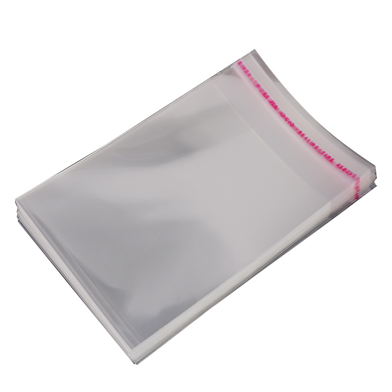 Prilagođene tiskane OPP/PE vrećice sa samozatvaranjem za nakit, odjeću i donje rublje